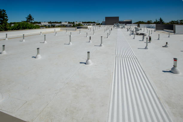 Best Flat Roofing  in Alpine, TX